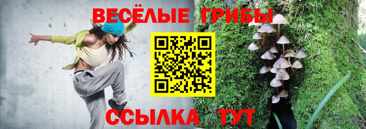 Галлюциногенные грибы прущие грибы Калуга